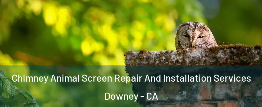  Chimney Animal Screen Repair And Installation Services Downey - CA