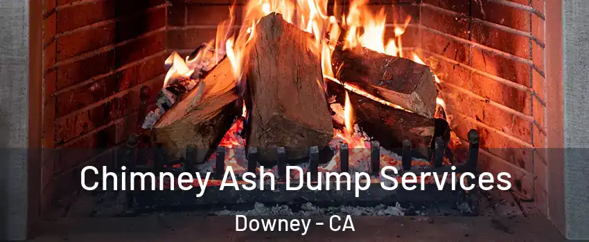  Chimney Ash Dump Services Downey - CA