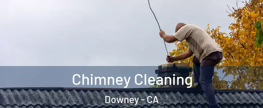  Chimney Cleaning Downey - CA