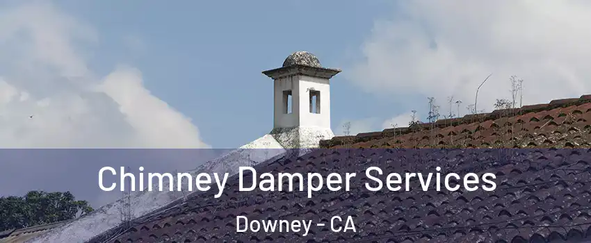  Chimney Damper Services Downey - CA