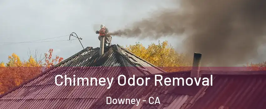  Chimney Odor Removal Downey - CA
