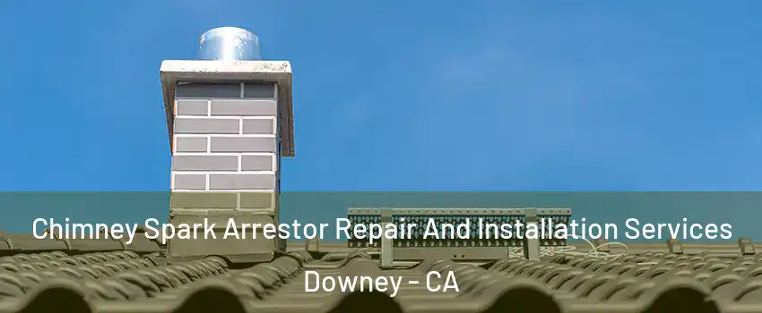  Chimney Spark Arrestor Repair And Installation Services Downey - CA
