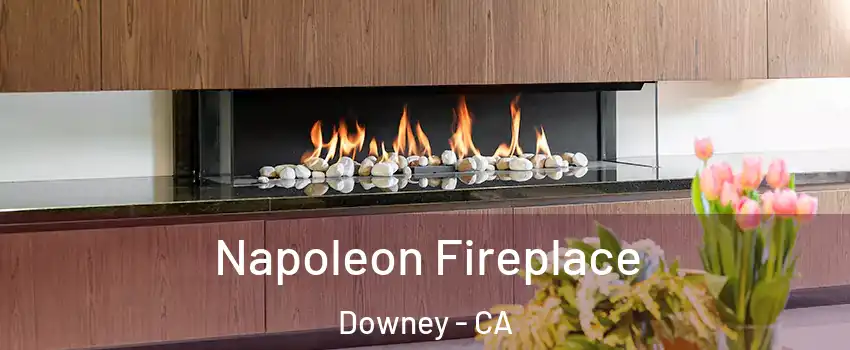  Napoleon Fireplace Downey - CA